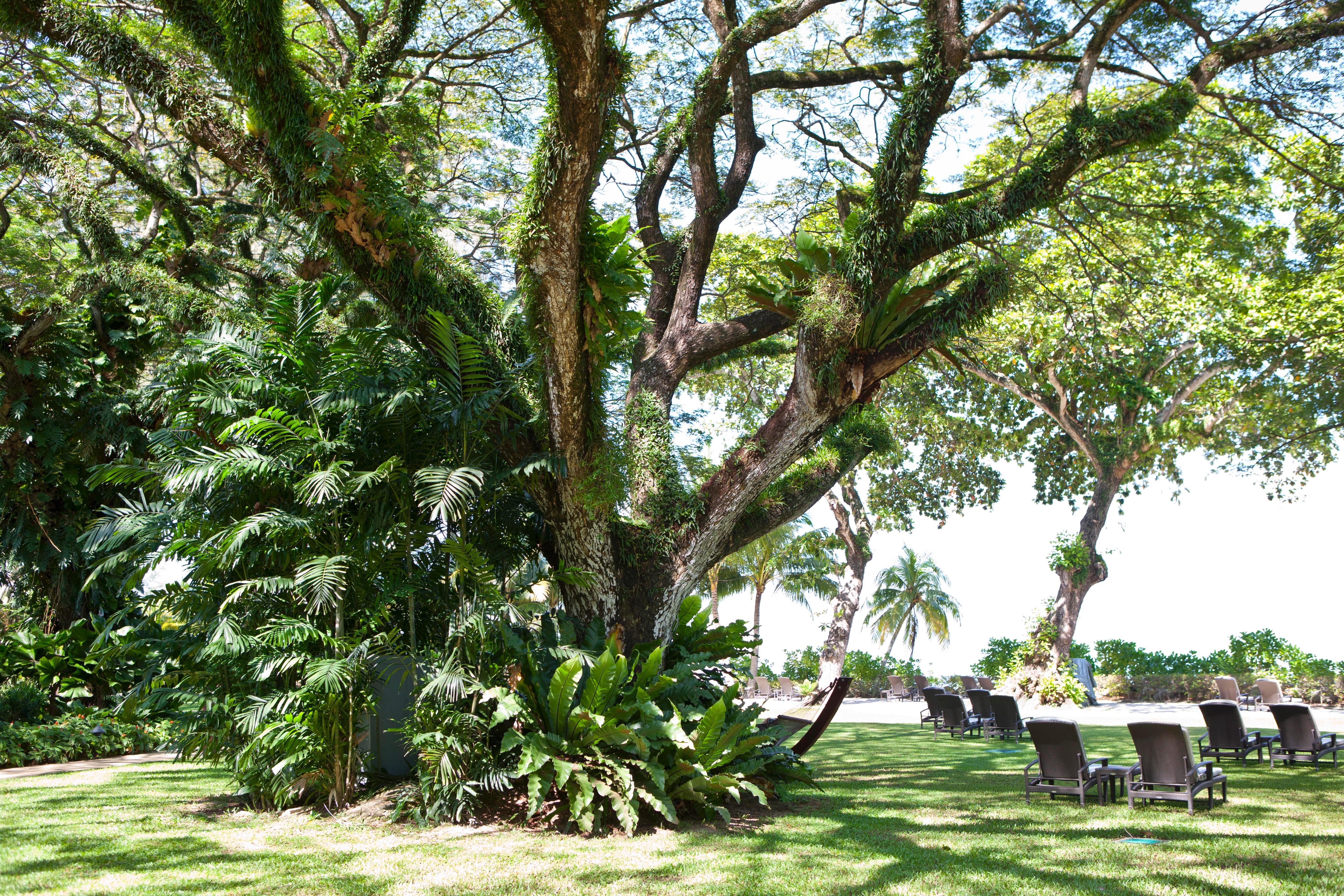 Shangri-La Rasa Sayang, Penang Batu Ferringhi Kültér fotó